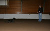 Filename=aefing8-12.jpg
Filesize=40KB
Dimensions=700x434
Date added=Dec 29, 2007 aefing8-12.jpg
