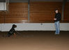 Filename=aefing8-13.jpg
Filesize=52KB
Dimensions=700x509
Date added=Dec 29, 2007 aefing8-13.jpg