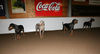 Filename=aefing8-5.jpg
Filesize=46KB
Dimensions=700x378
Date added=Dec 29, 2007 aefing8-5.jpg