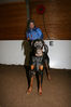 Filename=aefing9-1.jpg
Filesize=122KB
Dimensions=700x1050
Date added=Dec 29, 2007 aefing9-1.jpg
