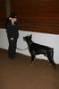 Filename=aefing9-10.jpg
Filesize=100KB
Dimensions=700x1050
Date added=Dec 29, 2007 aefing9-10.jpg