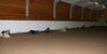 Filename=aefing9-15.jpg
Filesize=36KB
Dimensions=700x355
Date added=Dec 29, 2007 aefing9-15.jpg