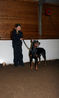 Filename=aefing9-3.jpg
Filesize=131KB
Dimensions=700x1168
Date added=Dec 29, 2007 aefing9-3.jpg