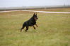 Filename=daddaraddada.jpg
Filesize=38KB
Dimensions=640x427
Date added=Feb 19, 2007 daddaraddada.jpg