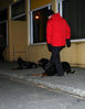 hlydni1-27.jpg