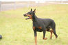 Filename=liggaliggalá.jpg
Filesize=41KB
Dimensions=640x427
Date added=Feb 19, 2007 liggaliggalá.jpg