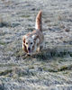 Filename=p30.jpg
Filesize=150KB
Dimensions=700x873
Date added=Apr 13, 2008 p30.jpg
