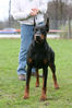 Filename=syning-Danmork10.jpg
Filesize=96KB
Dimensions=600x900
Date added=Feb 23, 2007 syning-Danmork10.jpg