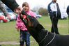 Filename=syning-Danmork13.jpg
Filesize=40KB
Dimensions=600x400
Date added=Feb 23, 2007 syning-Danmork13.jpg