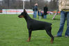 Filename=syning-Danmork16.jpg
Filesize=52KB
Dimensions=600x400
Date added=Feb 23, 2007 syning-Danmork16.jpg