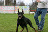 Filename=syning-danmork12.jpg
Filesize=52KB
Dimensions=600x400
Date added=Feb 23, 2007 syning-danmork12.jpg